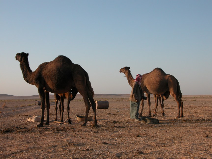 Mohammad-2-3-200411 012