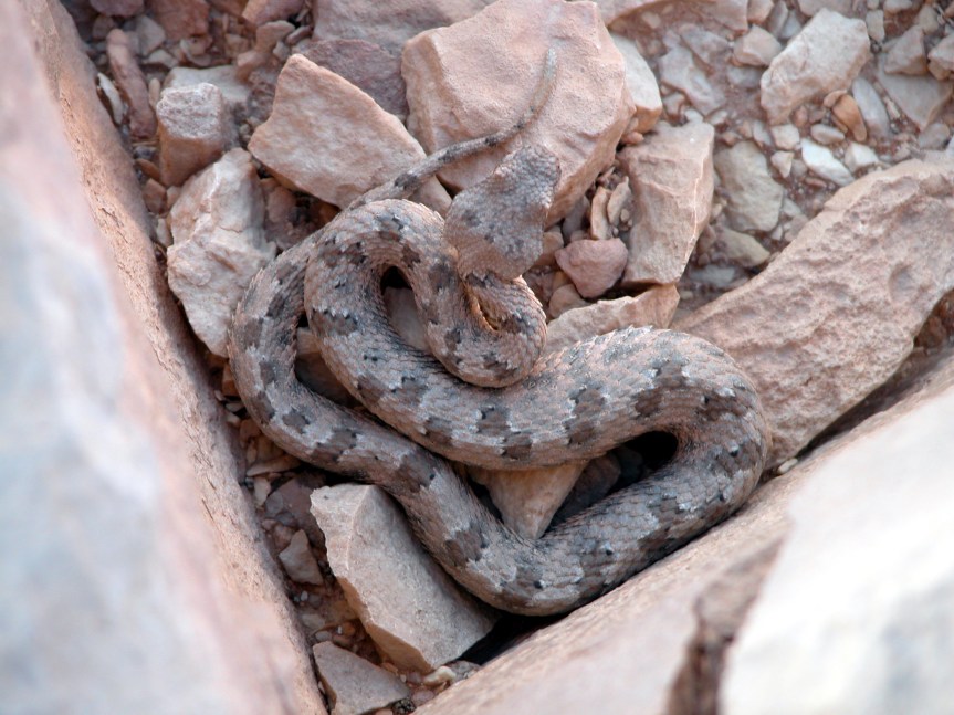 Picture 225,. (11)ed